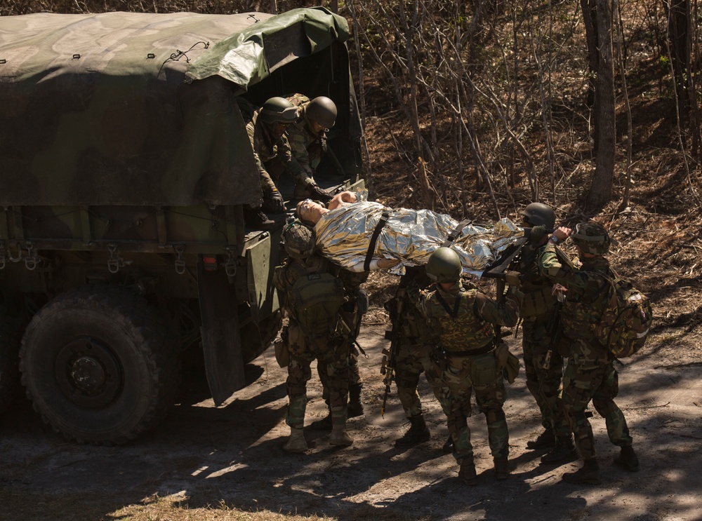 Dutch Marines strengthen battle tactics