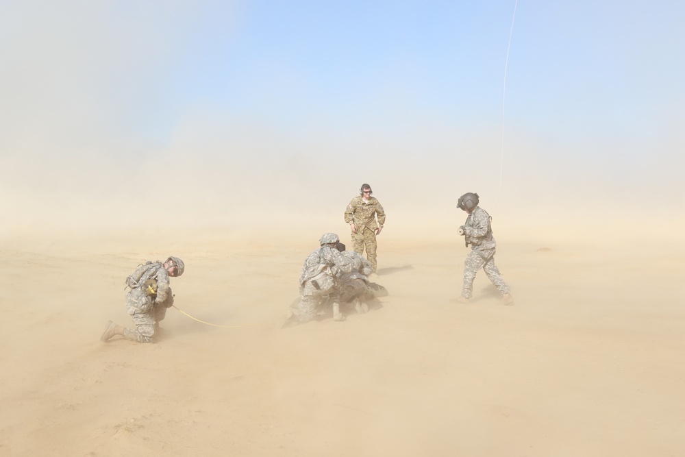 The Dust Surrounds Them