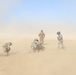 The Dust Surrounds Them