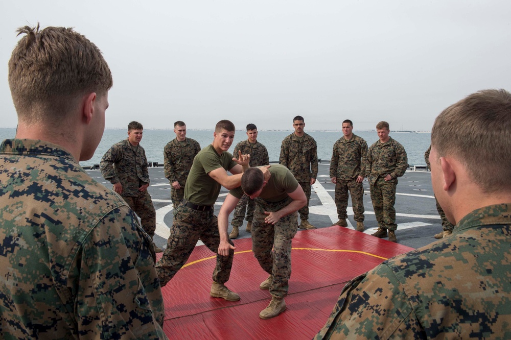 Martial arts demonstratration aboard USS Oak Hill