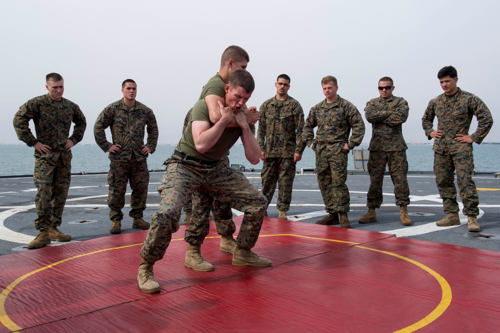Martial arts demonstratration aboard USS Oak Hill