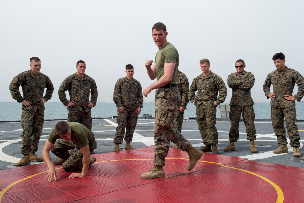 Martial arts demonstration aboard USS Oak Hill