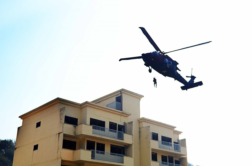 Soldiers of 296th BSB conduct hoist training with ROKA partners