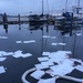 Federal, state and local agencies respond to marina fire, pollution threat