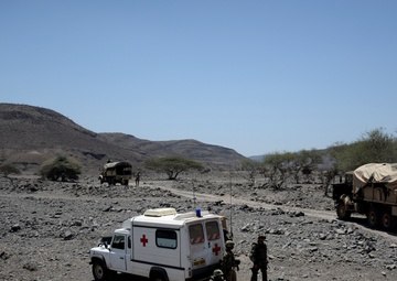 Ça marche: US, French FTX prove partnership works