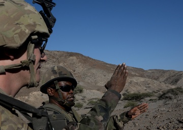 Ça marche: US, French FTX prove partnership works
