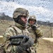 Field Artillery Squadron, 2nd Cavalry Regiment, Artillery Systems Cooperation Activities