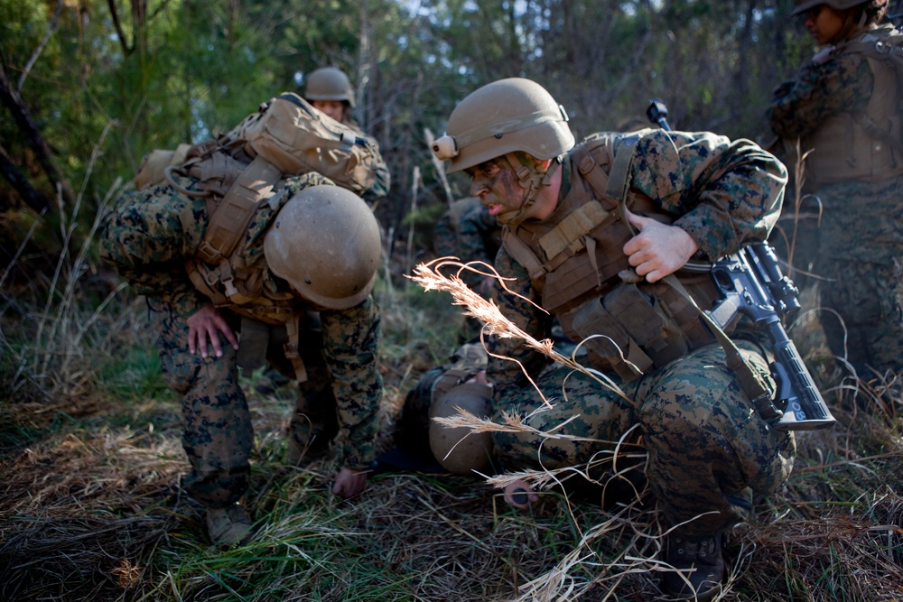 FMTB-E final exercise