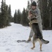 Military working dogs sharpen their skills at JBER