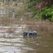 Texas National Guard responds to floods in Southeast Texas