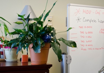 Keeping in the Path: One woman's history