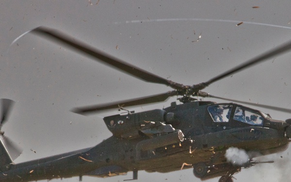 ‘Cacti’ conduct live-fire training with teammates