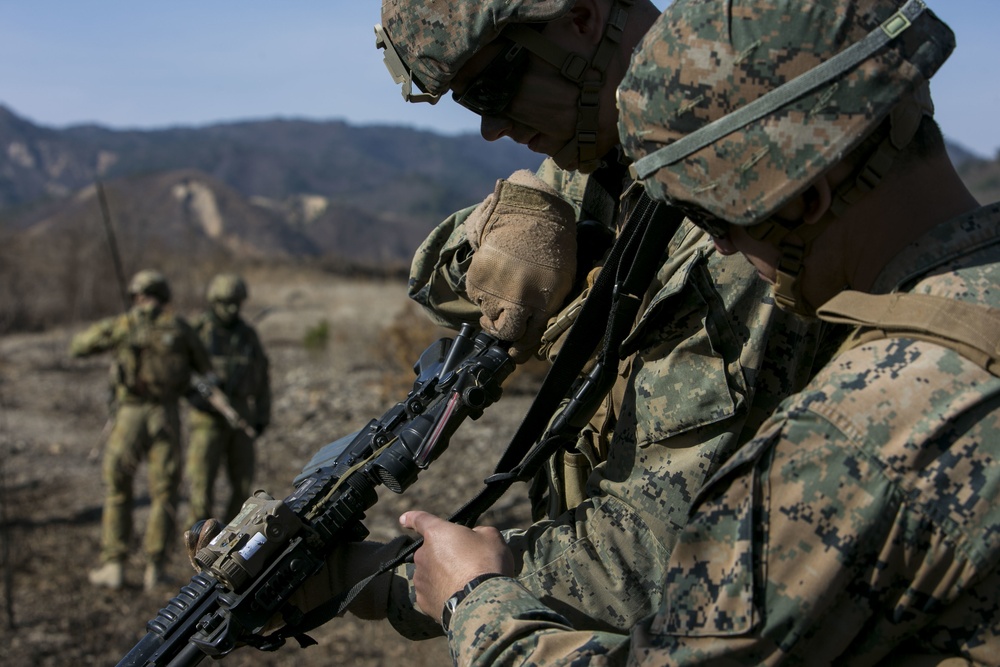 Coalition Platoon Attack Drill