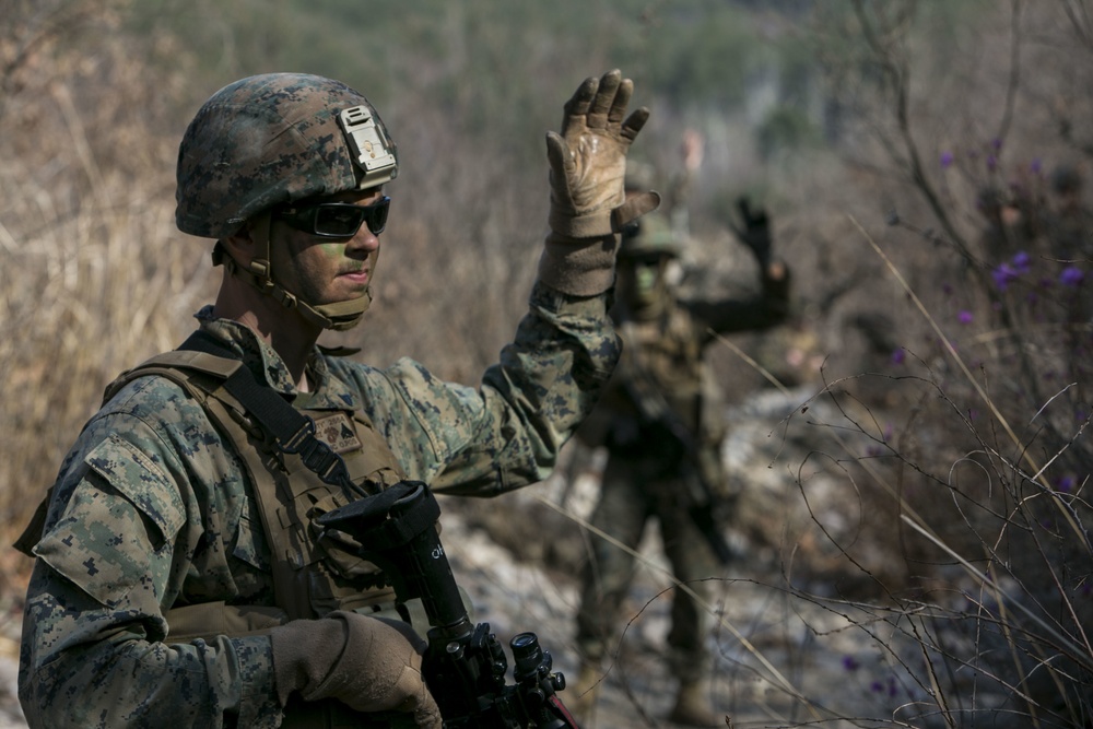 Coalition Platoon Attack Drill