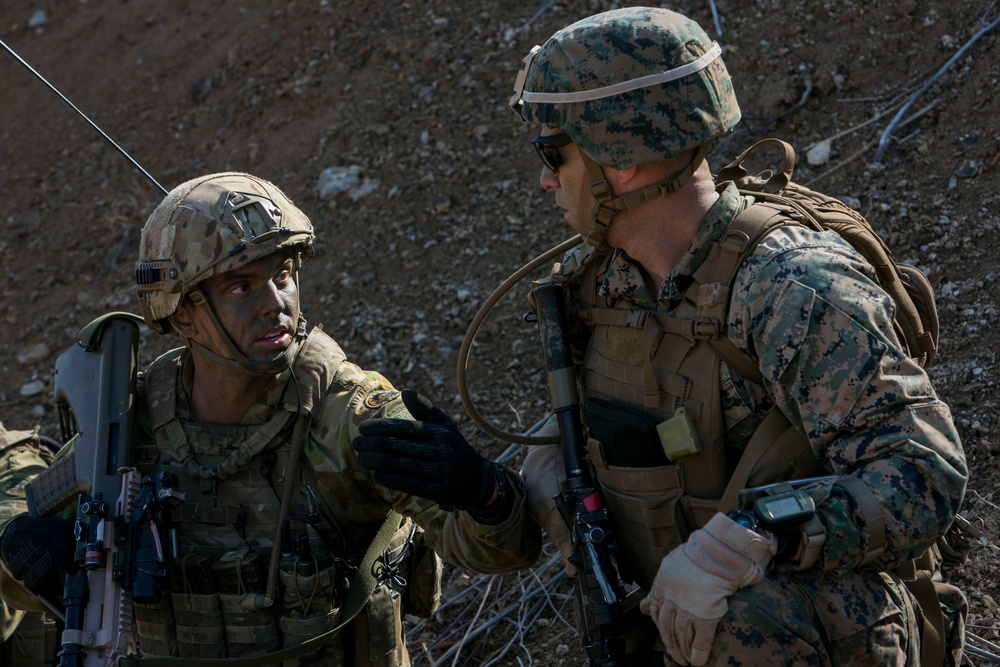 Coalition Platoon Attack Drill