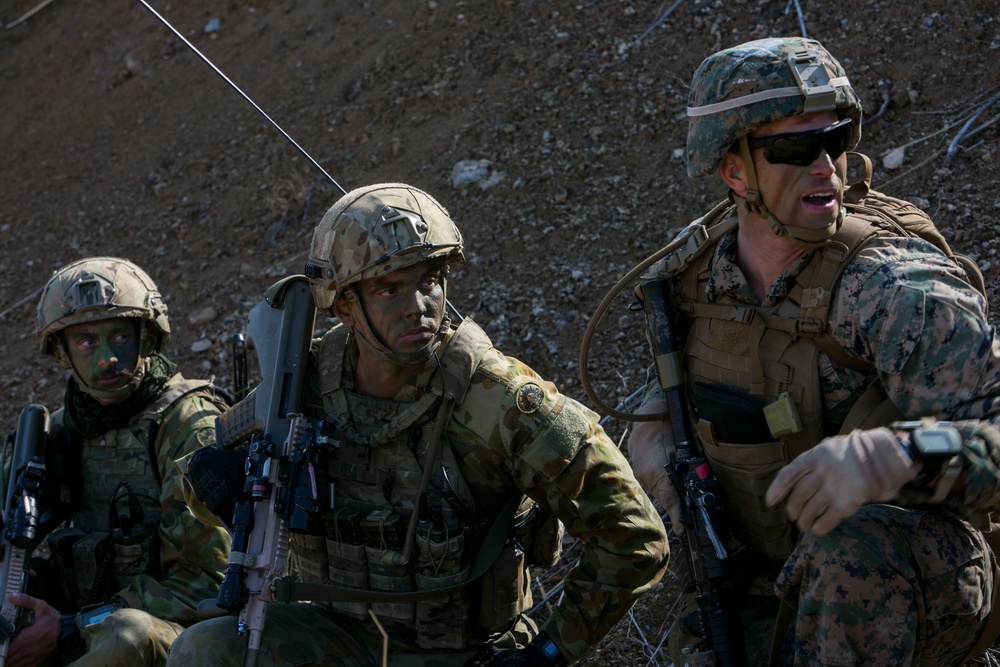 Coalition Platoon Attack Drill