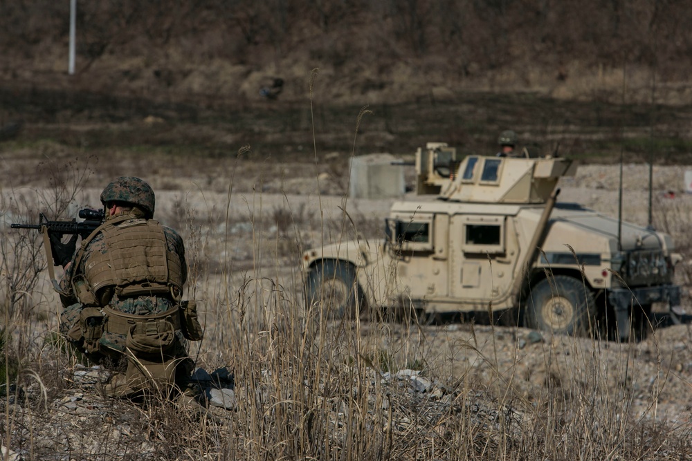 Coalition Platoon Attack Drill
