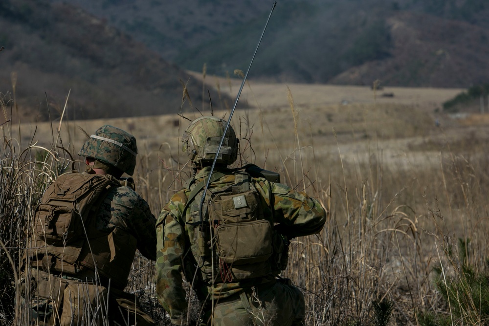 Coalition Platoon Attack Drill