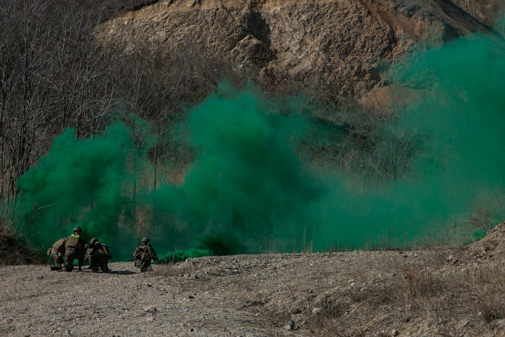 Coalition Platoon Attack Drill