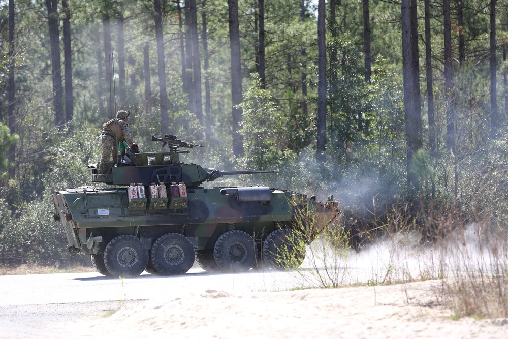 Take aim: 2nd LAR conducts gunnery training