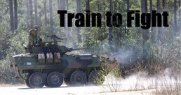 Take aim: 2nd LAR conducts gunnery training