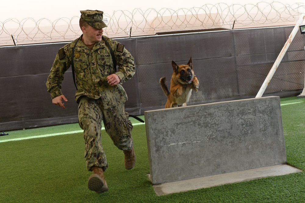 Obedience course at Naval Support Activity Bahrain