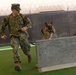 Obedience course at Naval Support Activity Bahrain