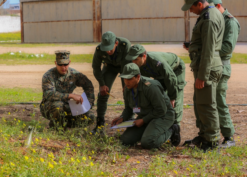 U.S., Morocco improve demining capability, work on center of excellence