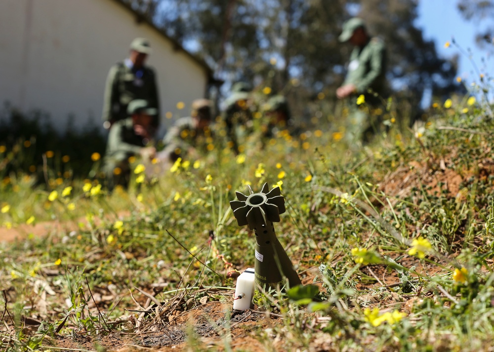 U.S., Morocco improve demining capability, work on center of excellence