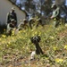 U.S., Morocco improve demining capability, work on center of excellence