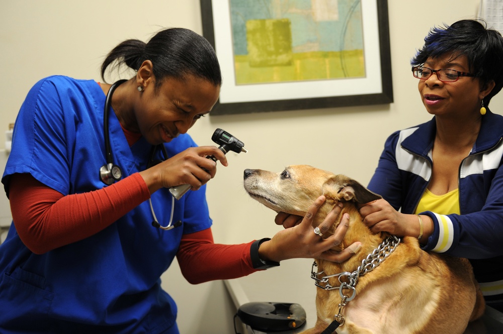 Langley Veterinary Clinic: keeping our furry friends healthy