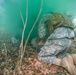 Combat lifesaver course held at Boeblingen Local Training Area