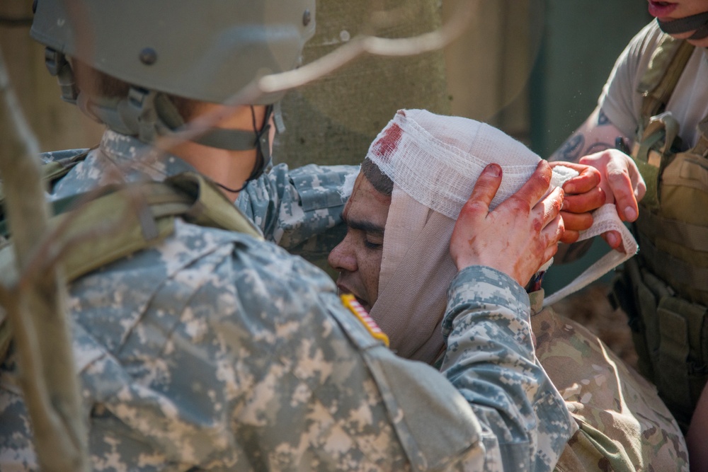 Combat lifesaver course held at Boeblingen Local Training Area