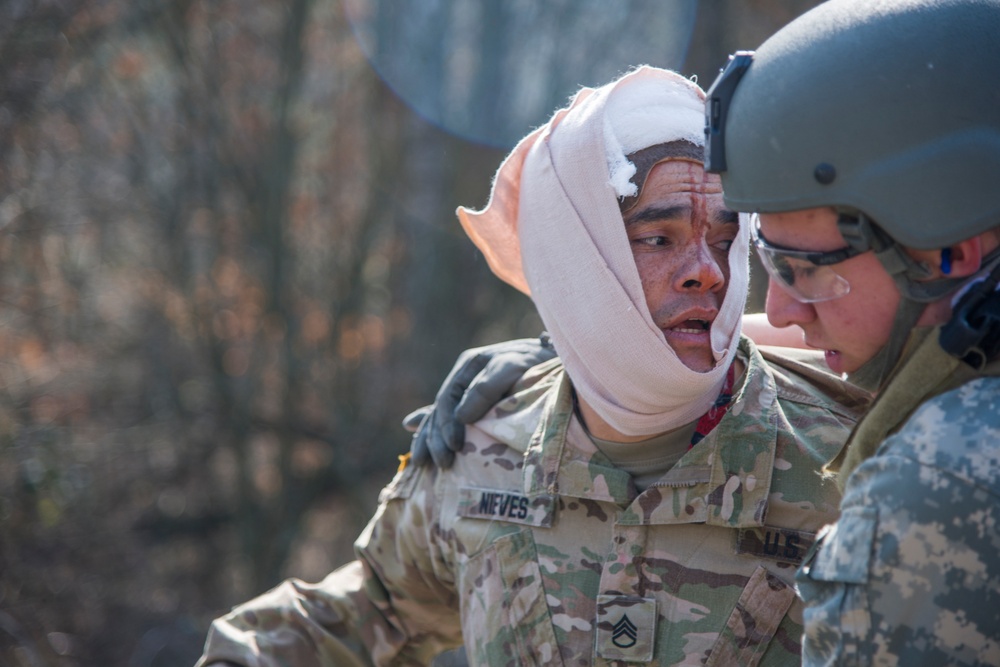 Combat lifesaver course held at Boeblingen Local Training Area