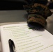 Prime for Life equips Marines with tools to battle alcohol, drug abuse