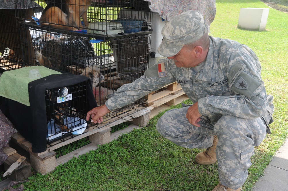 Texas State Guard supports civil authorities in recent floods