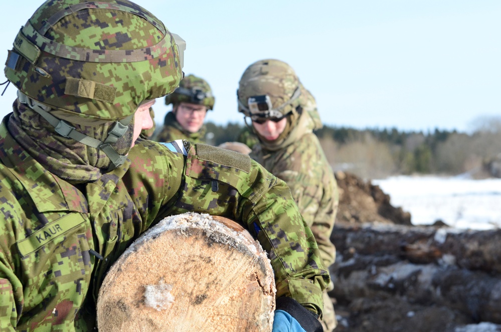 US, Estonia build bonding bridges