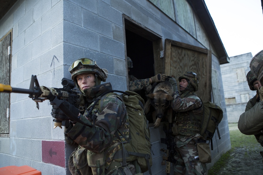 The image shows military personnel in camouflage uniforms conducting what appears to be a tactical training exercise near a concrete block building. At least three soldiers are visible, one of whom is holding a military working dog, while the lead soldier aims a rifle outward. The setting appears to be a training facility based on the controlled environment and painted markings on the building.