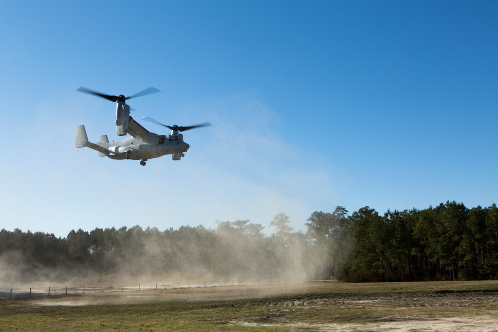 A military tiltrotor aircraft, identifiable as a Bell Boeing V-22 Osprey, is captured in low-altitude flight over an open field or landing zone. The aircraft's rotors are tilted upward in helicopter mode, kicking up a significant dust cloud from the dry ground below. The setting appears to be a military training area surrounded by pine trees under clear blue skies.