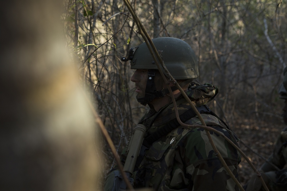 A soldier in full combat gear is photographed in profile while moving through a sparse woodland environment. The individual is wearing camouflage uniform and a tactical helmet with communication equipment attached. The image appears to be taken during a military field exercise or operational patrol.