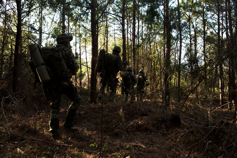 A group of military personnel in camouflage uniforms and helmets are moving through a forested area in a patrol or training formation. The soldiers are carrying full field packs and equipment, advancing toward a backlit tree line. The image is captured in a silhouette-dominant style with natural forest lighting filtering through tall pine trees.