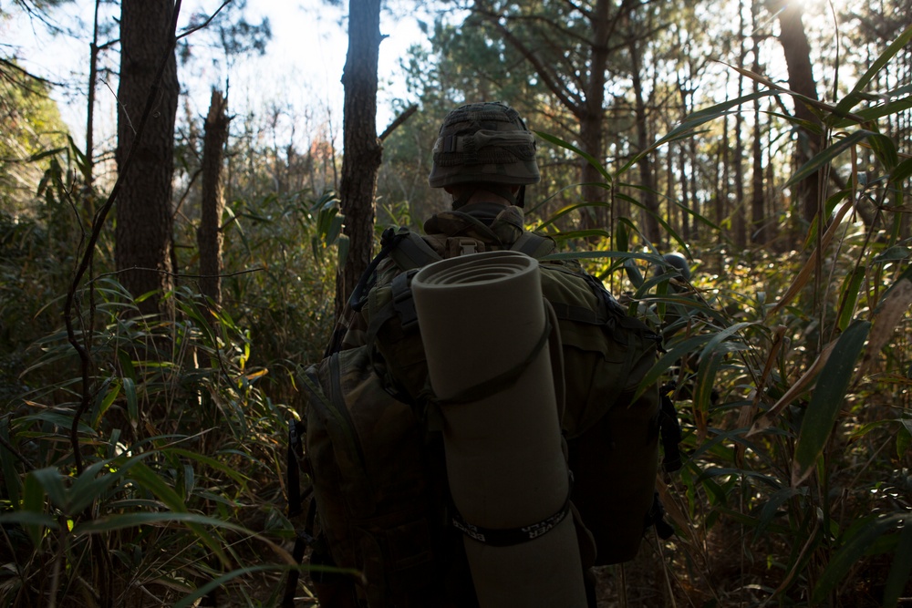 A soldier or military personnel is moving through a forested area, viewed from behind. The individual is carrying a large military rucksack with a rolled sleeping mat or foam pad attached to the exterior. The setting appears to be a woodland training environment with pine trees and dense undergrowth.