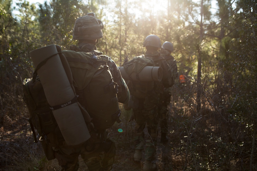 Three military personnel are moving through a wooded area, viewed from behind, with strong backlighting creating a sun flare effect. They are equipped with full combat gear including helmets, tactical backpacks, and rolled sleeping mats or foam pads. The setting appears to be a forest training or operational environment during daytime.