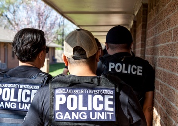 Arrest of gang members by HSI Gang Unit.