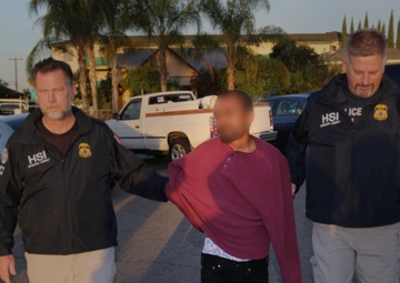 Project Shadowfire Arrest