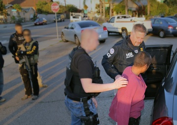 Project Shadowfire Arrest