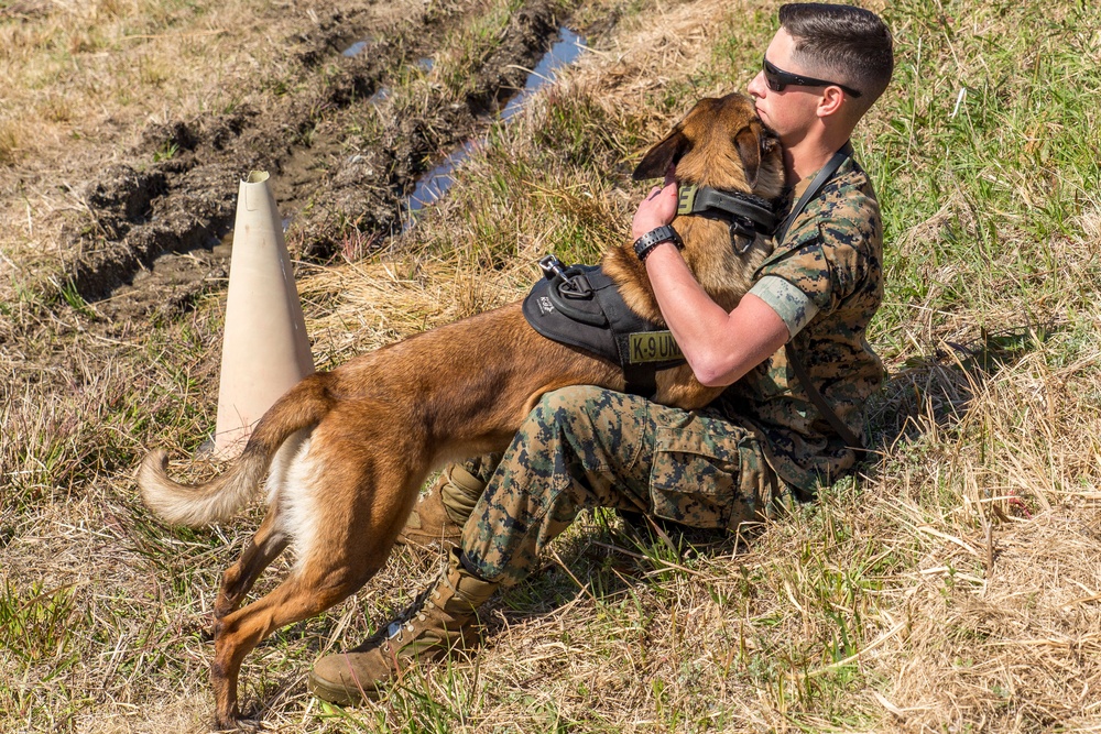 Marines, Japanese sniff out explosives