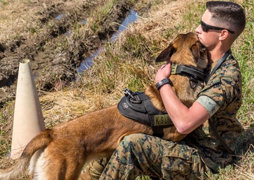 Marines, Japanese sniff out explosives
