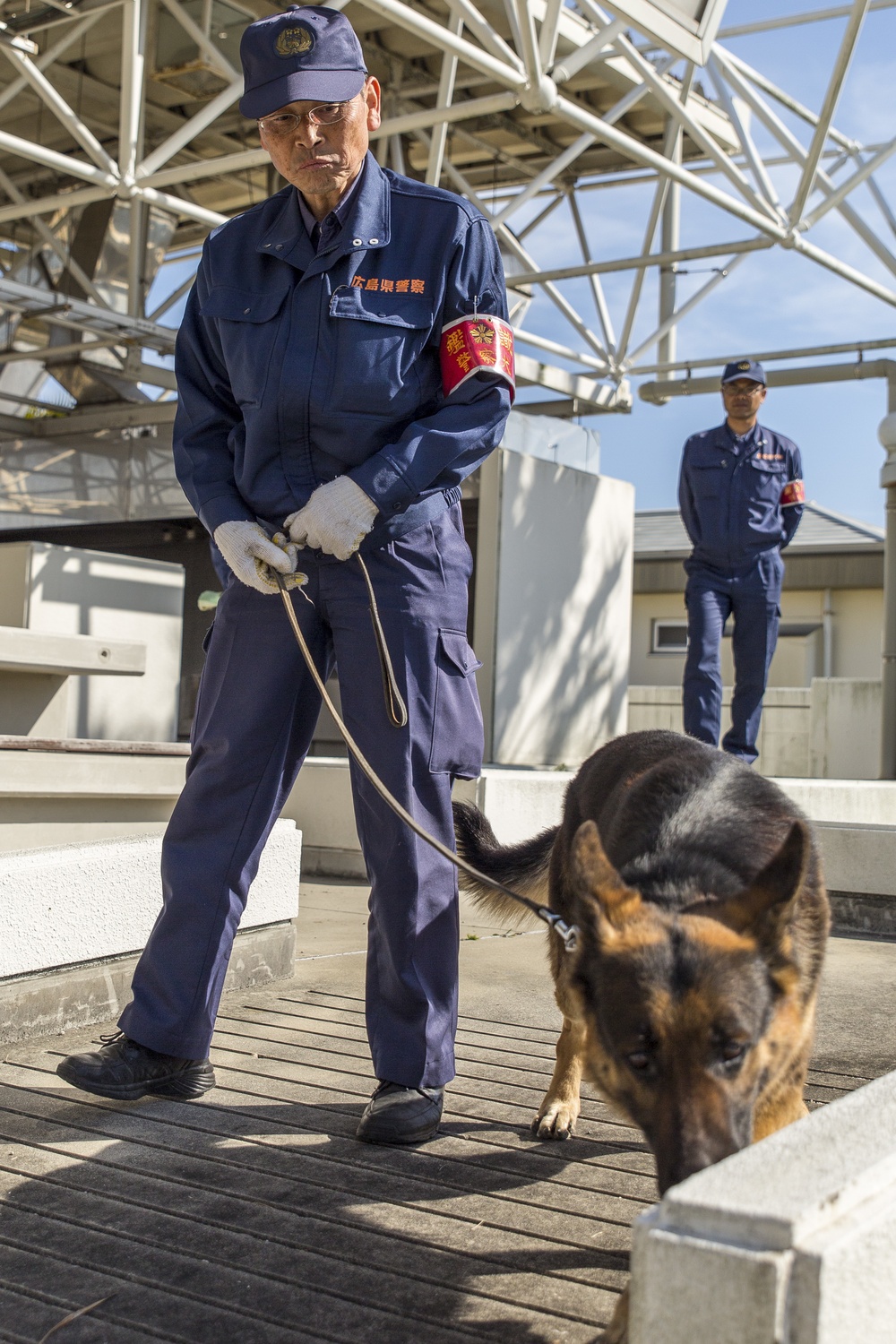 Marines, Japanese sniff out explosives