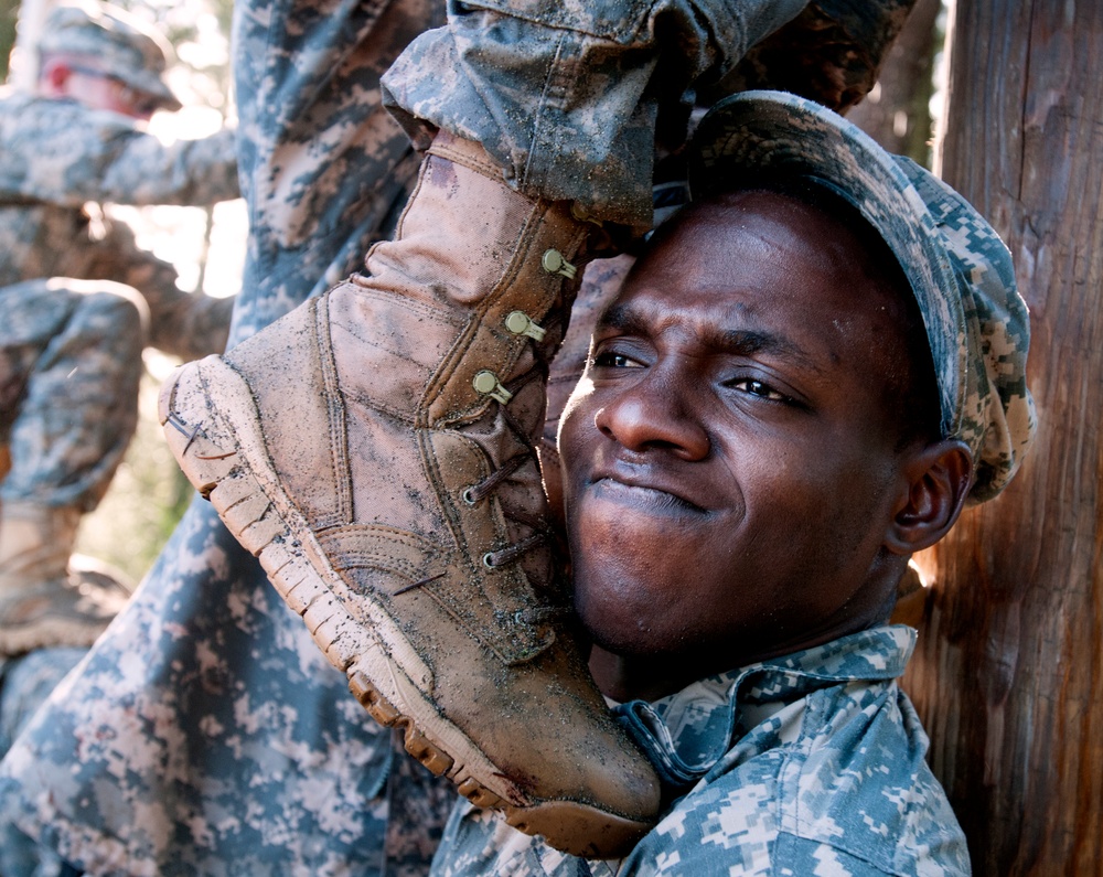 A Shoulder to Climb On